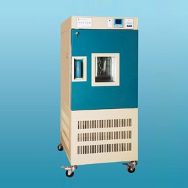YWS-080 药品稳定性试验箱（JH）