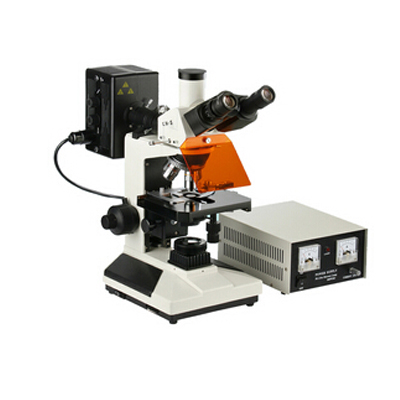 L2001A 落射荧光显微镜
